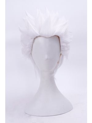 Fate/stay night Archer Cosplay Wig Buy