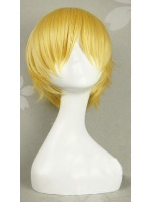 Fate/stay night Gilgamesh Cosplay Wig for Sale