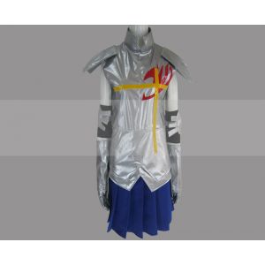 Fairy Tail Erza Scarlet Costume Cospaly Outfits Buy