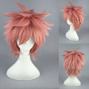 Fairy Tail Natsu Dragneel Cosplay Wig Buy