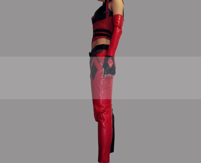 Harley Quinn Arkham City Costume for Sale