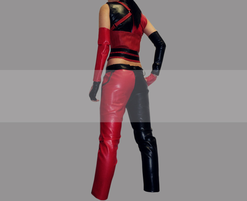 Harley Quinn Arkham City Cosplay for Sale