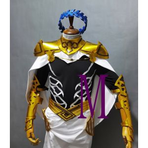Customize Fate/Grand Order Saber Dioscuri Castor Cosplay Costume Armor Buy