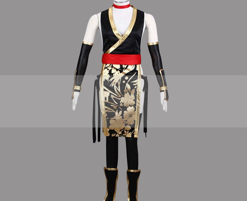 Dead or Alive 4 Kasumi Cosplay Costume