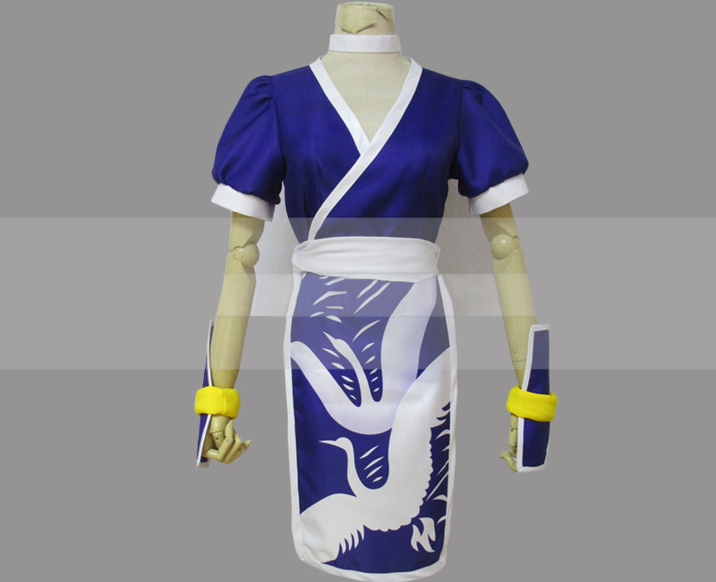 Dead or Alive Dimensions Kasumi Cosplay Costume