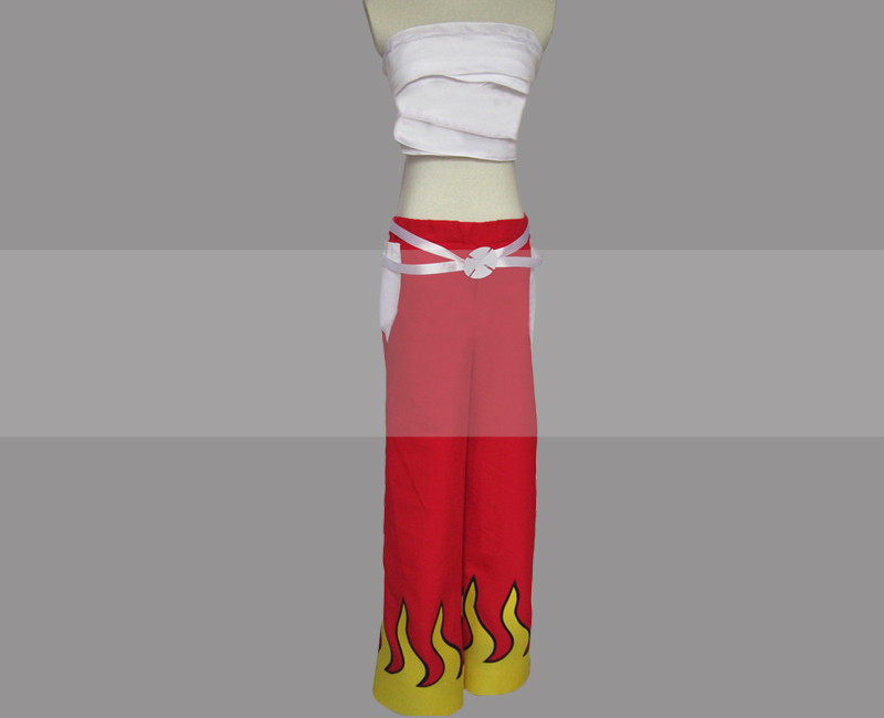 Fairy Tail Erza Scarlet Costume